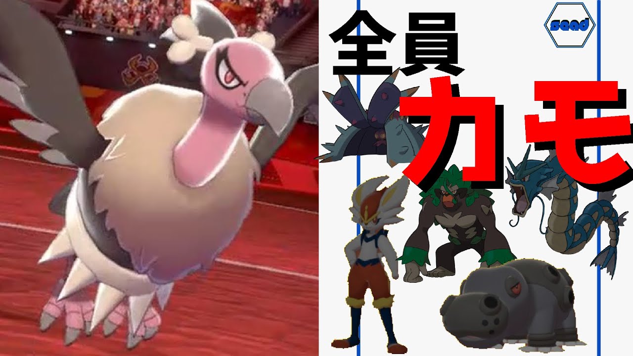 【ポケモン剣盾】バルジーナ　ゴリランダー環境？エースバーン環境？環境なんて関係ねぇ!!【step.26】