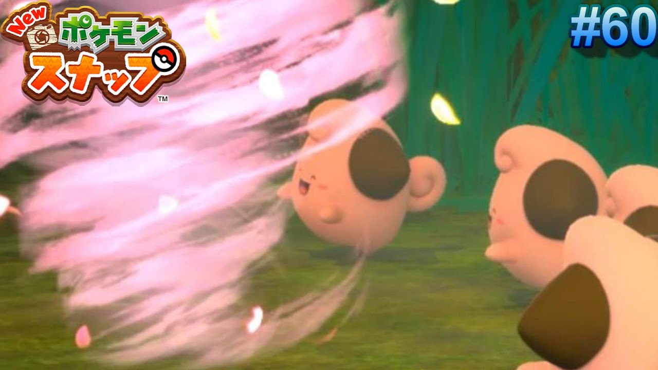 ピィの秘密の特訓【New ポケモンスナップ  ♯60】