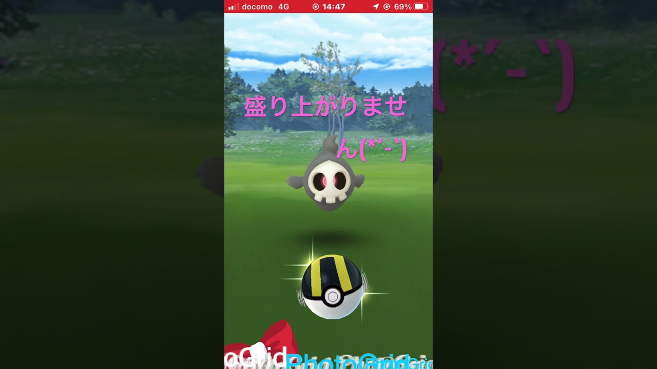 #ポケモンgo  #ヨマワルコミュニティディ　ヨマワルコミュニティディ
