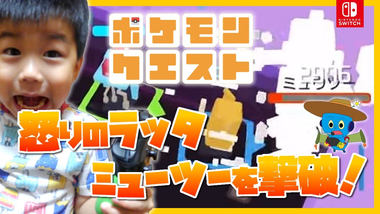 4歳児ゲーム実況【ポケモンクエスト】怒りのラッタミューツー撃破！