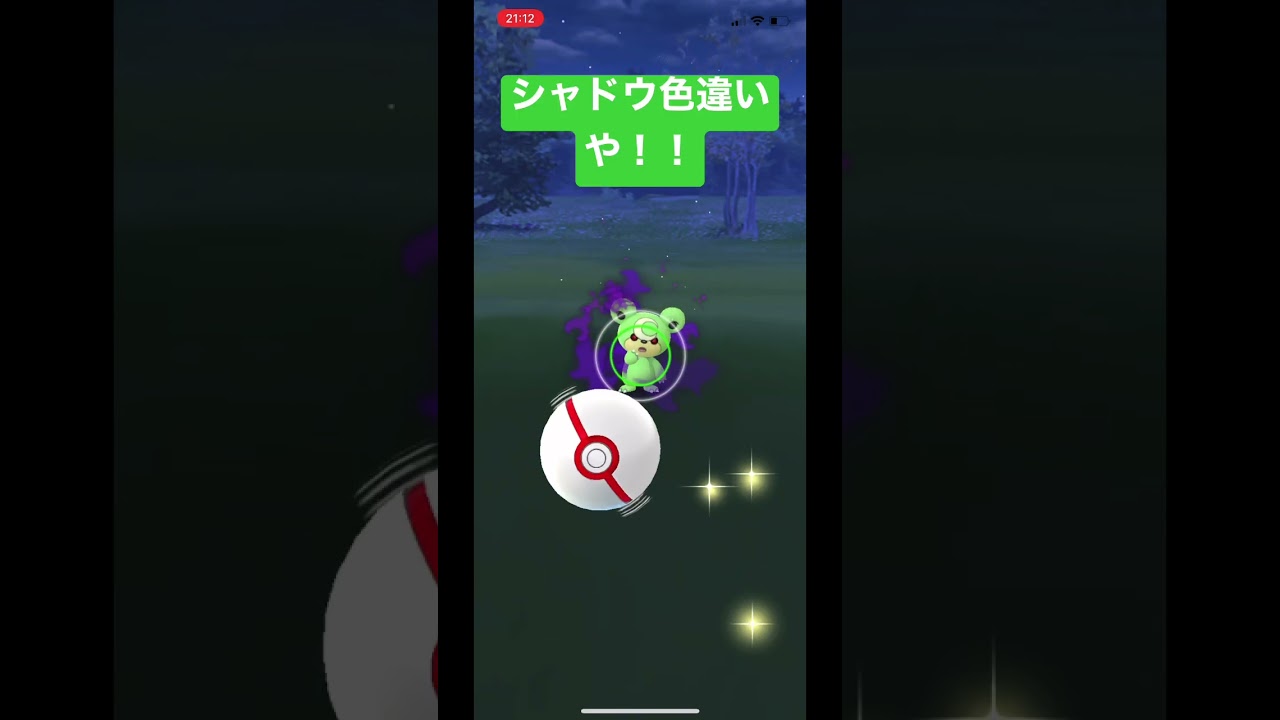 ポケモンGO シャドウ色違いヒメグマ