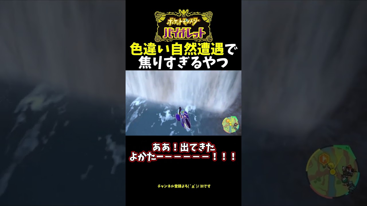 【ポケモンSV】色違い自然遭遇でパニックになるやつ！！！【ゆっくり実況】