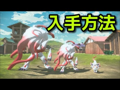 【ポケモン アルセウス】ゾロア 入手方法 進化方法 ゾロアーク【Pokémon LEGENDS アルセウス】