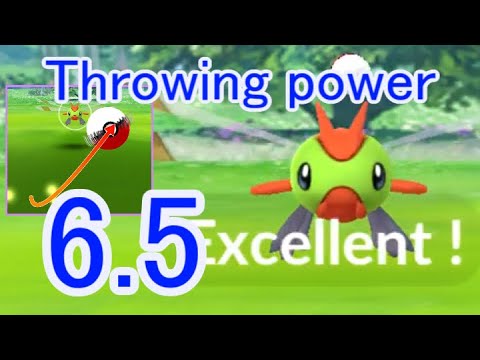 193 ヤンヤンマ 反時計回り (Yanma - Counterclockwise) - Pokémon GO Excellent Throw