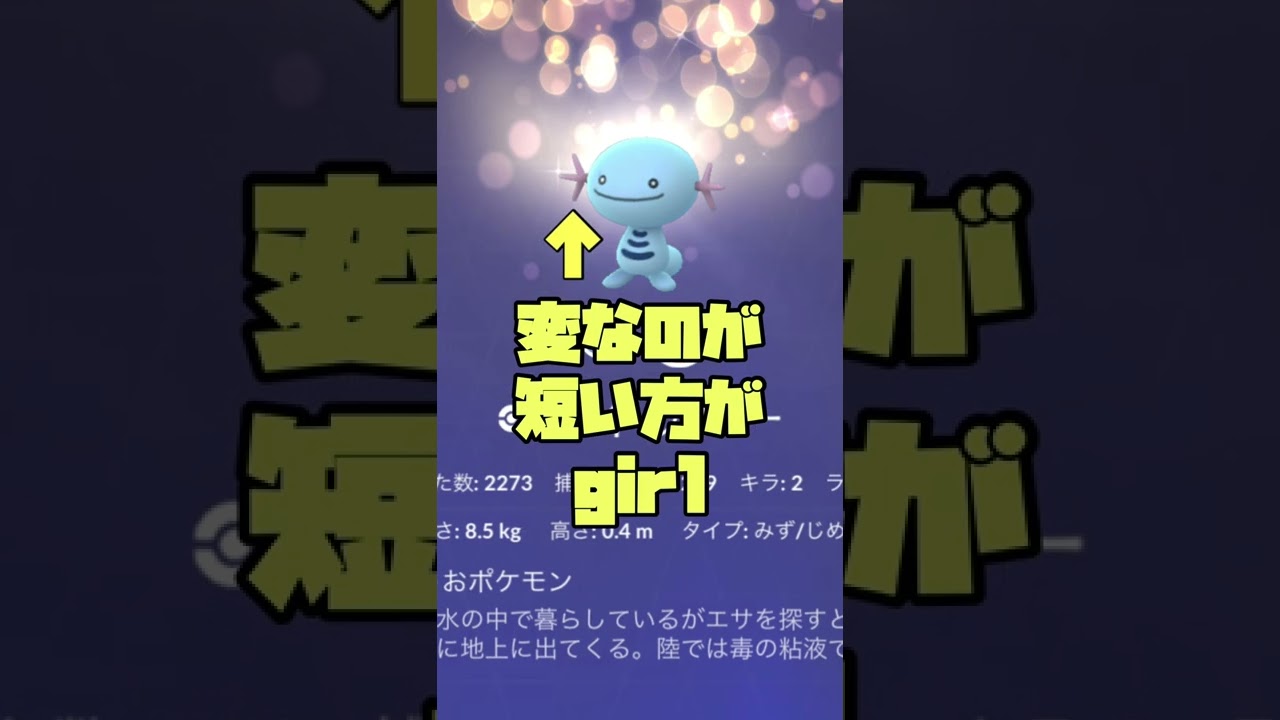ウパーのオスメスの見分け方！