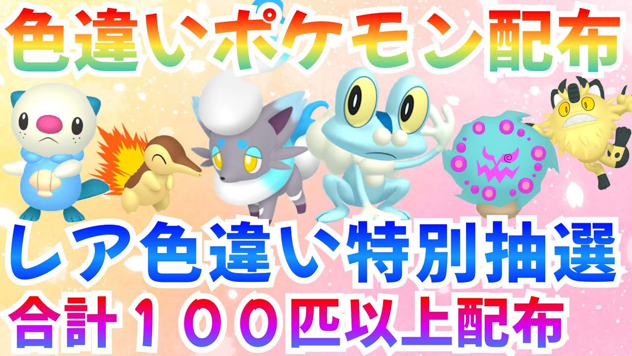 【ポケモンSV 色違いポケモン配布】色ケロマツ ヒスイゾロア 合計100匹以上 #ライブ #ポケモン配布