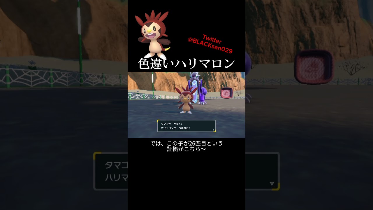【ポケモンSV】色違いハリマロン、ハリボーグ、ブリガロンを求めて #ポケモンsv #ポケットモンスター #色違い #色違い厳選 #最強レイド #ハリマロン #ハリボーグ #ブリガロン #shorts