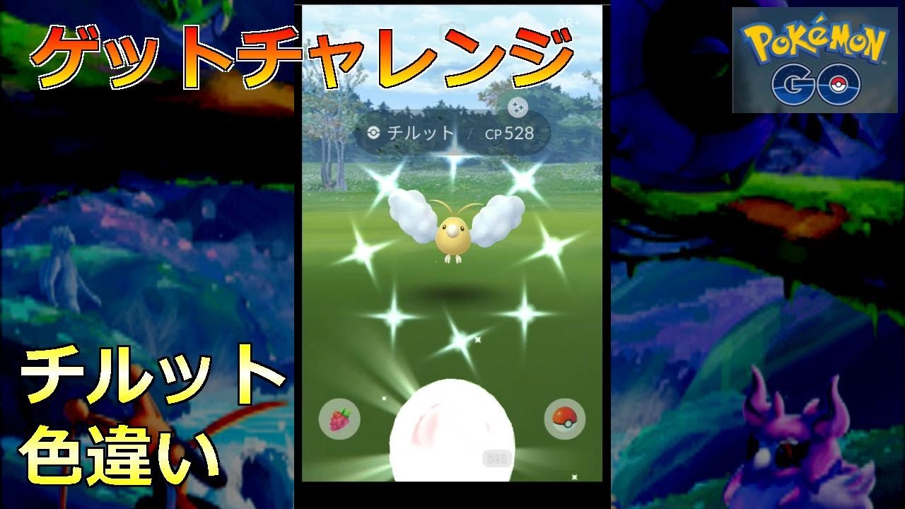 【ポケモンGO】ゲットチャレンジ チルット 色違い
