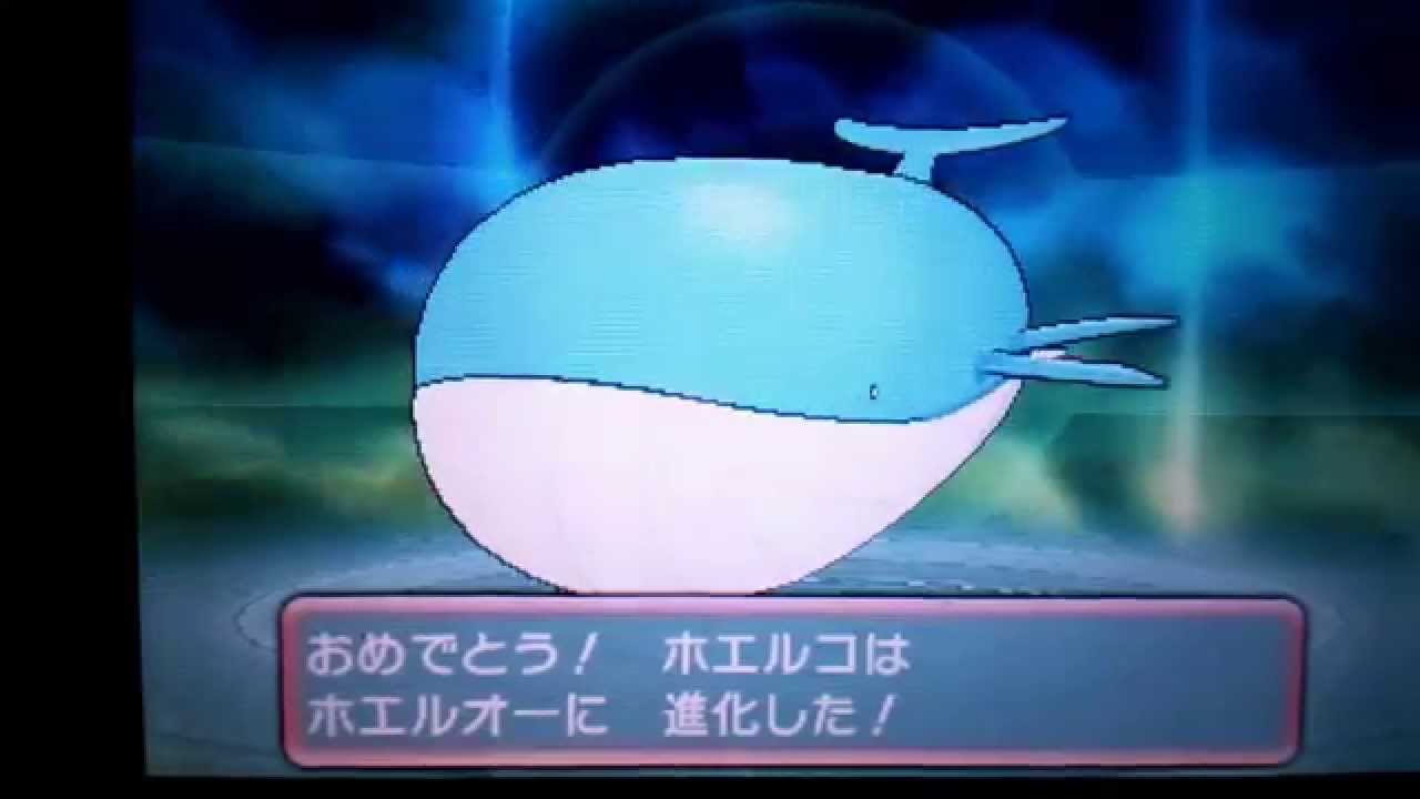 【ポケモンΩルビー】ホエルコ進化♪