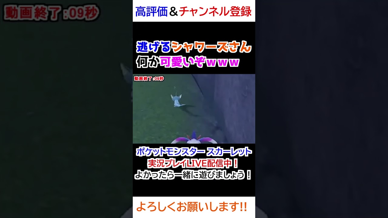 逃げるシャワーズさんが何か可愛いｗｗ【ポケモンSV】