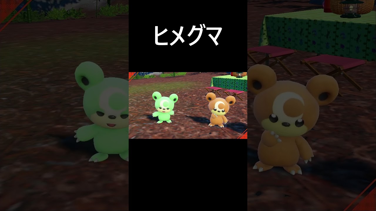 ヒメグマ色違い【ポケモンｓｖ／スカーレット】　#Shorts