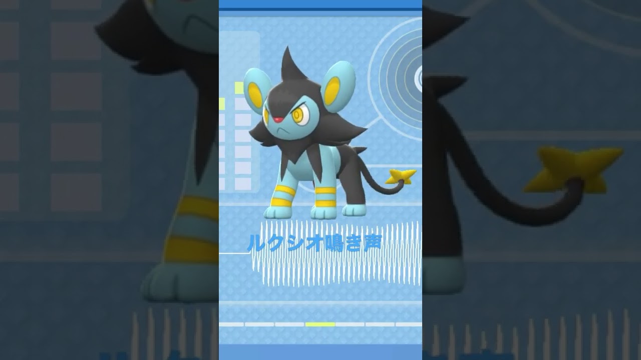 BDSP【シンオウ図鑑NO018】ルクシオ鳴き声#ポケモン鳴き声 #図鑑コンプ #ブリリアントダイヤモンド #シャイニングパール#ポケモン生態#第四世代鳴き声#Luxio