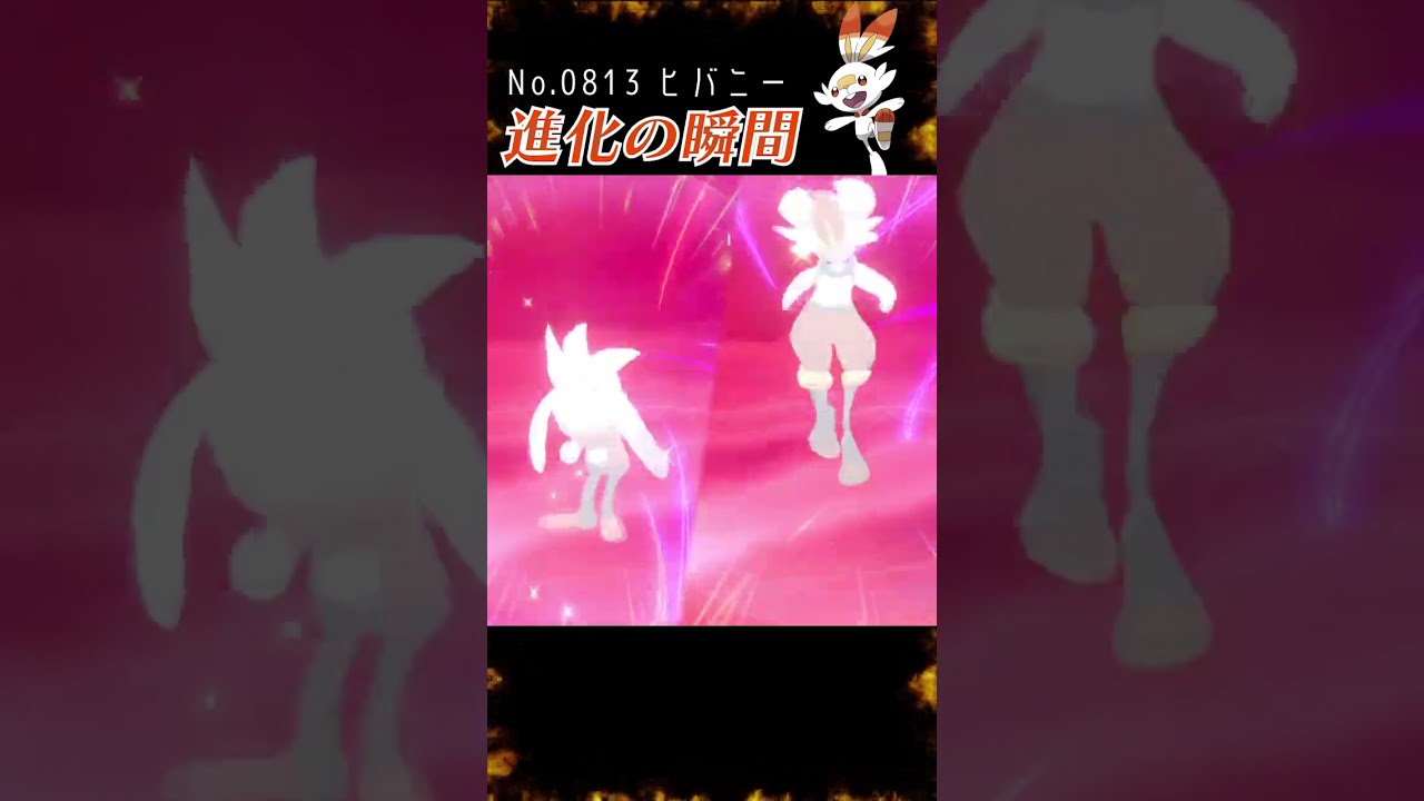 【ポケモン剣盾】ヒバニー 進化の瞬間 #shorts