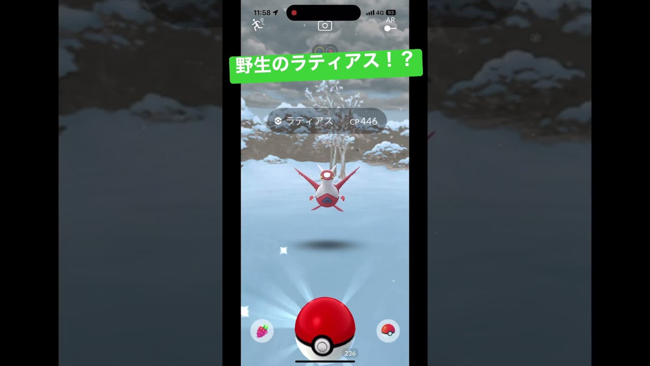 【ポケモンGO】野生のラティアス出現！？イベント出てるらしい！？【ポケットモンスター】#shorts #ポケモン