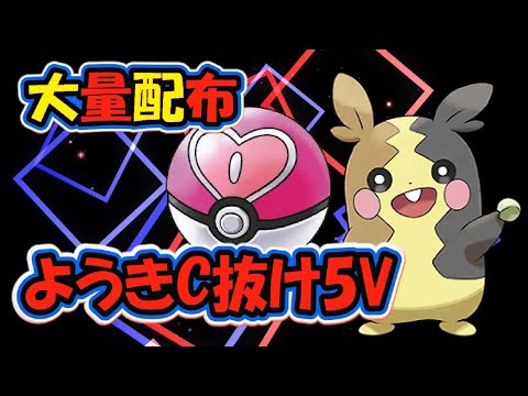 【約200匹】C抜け5Vモルペコ配布 後編【ポケモン剣盾】
