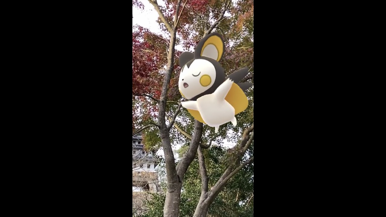 エモンガ｜Emolga｜楓蔦黄（もみじつたきばむ）｜七十二候｜第五十四候【ポケモンGO】｜AR動画｜PoKeMoN GO AR｜#Shorts