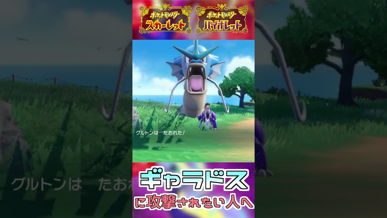 ギャラドスに攻撃されたい人向けの動画【ポケモンSV】#shorts