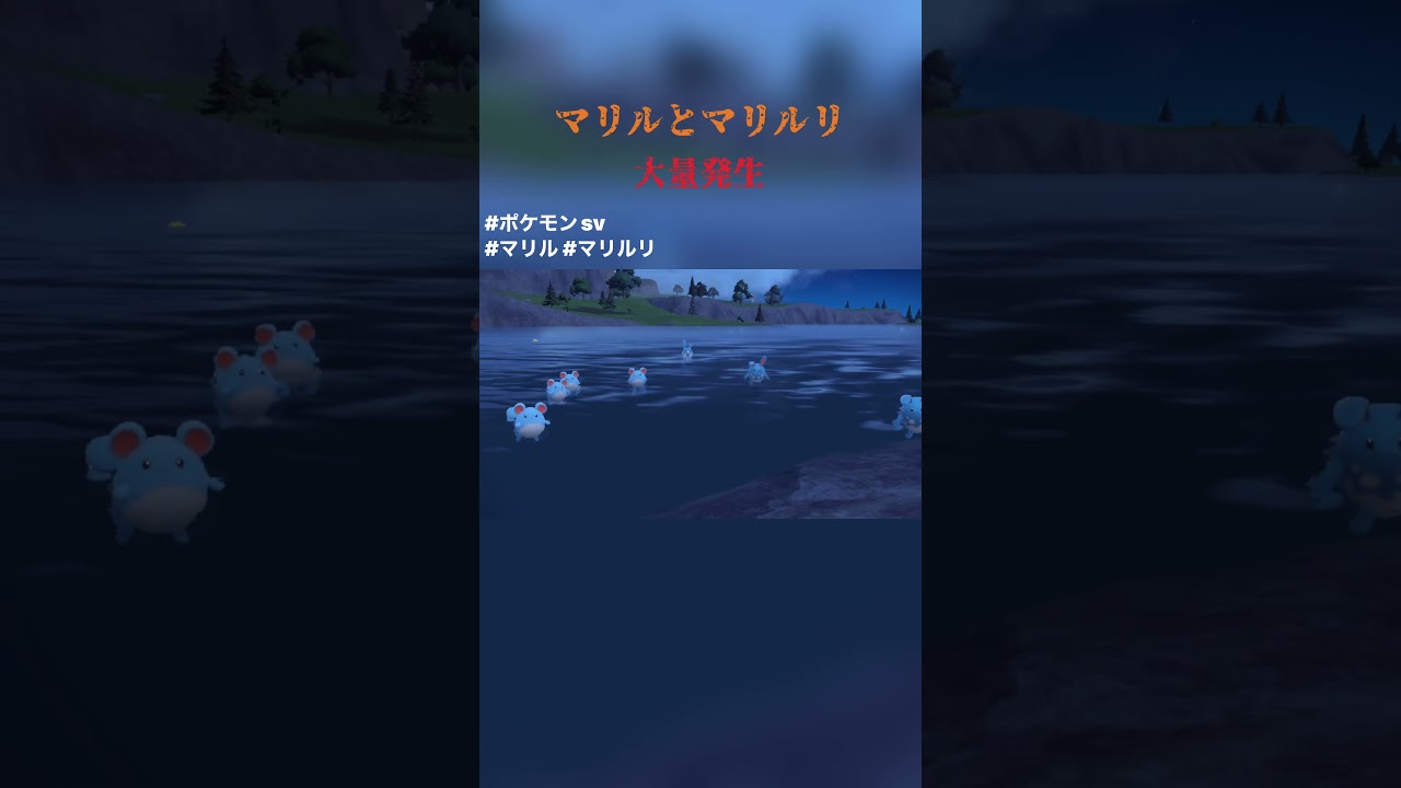 【ポケモンSV】マリルとマリルリ大量発生！！！#shorts