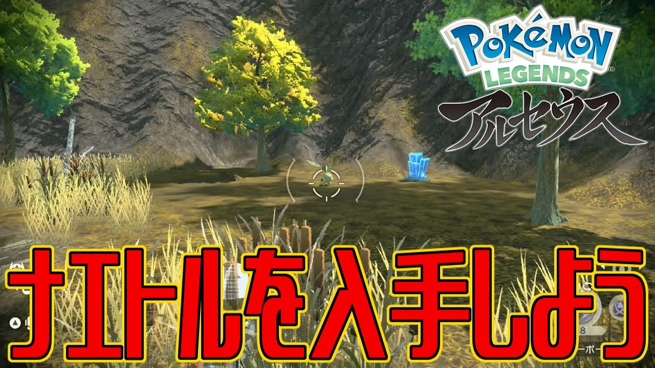 【ポケモンアルセウス】ナエトルを入手しよう【Pokémon LEGENDS アルセウス】