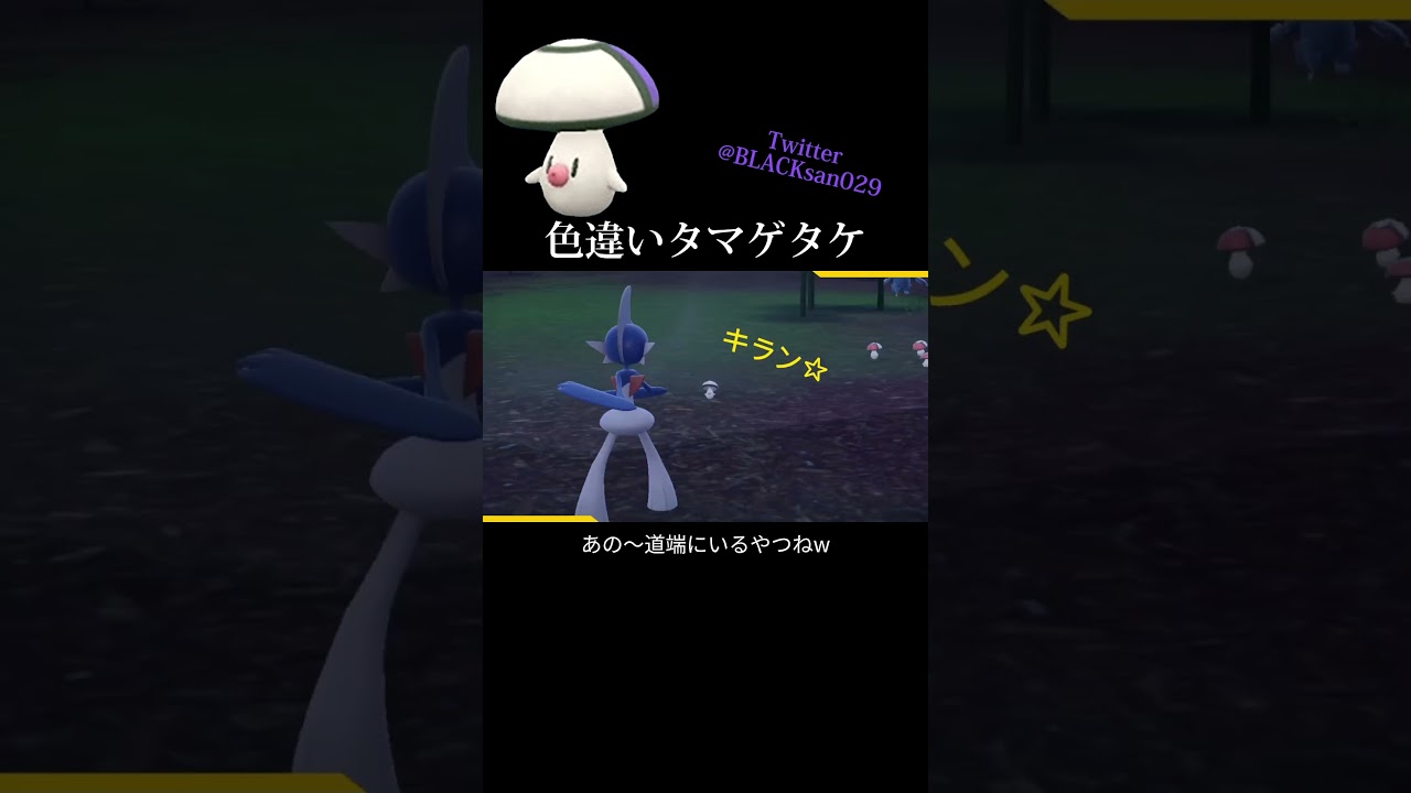 【ポケモンSV】色違いタマゲタケ、モロバレルを求めて #ポケモンsv #ポケットモンスター #色違い #色違い厳選 #タマゲタケ #モロバレル #ポケモンSV #shorts