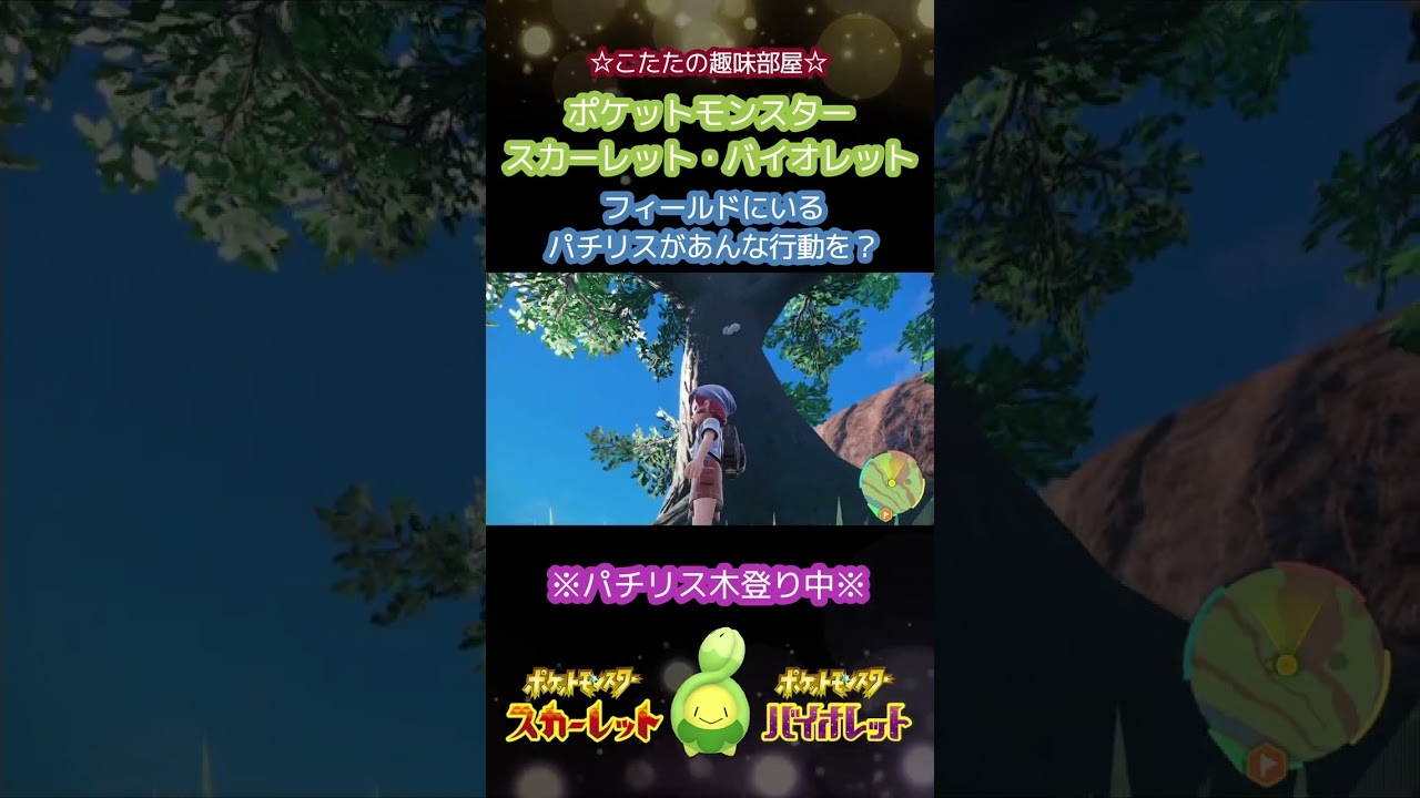 【ポケモンSV】パチリスが木登りするってほんまかいな！ #shorts