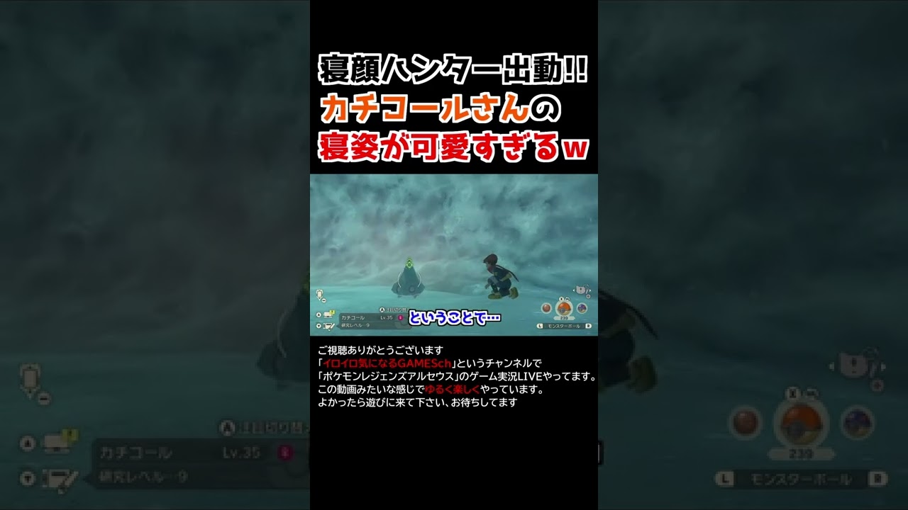 カチコールさんの「寝姿」が可愛すぎるww【Pokémon LEGENDS アルセウス】【寝顔ハンター】