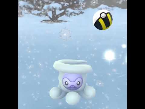 初めてのポワルンゆきぐものすがたをゲット！