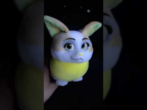ワンパチぬいぐるみの目が⁈
