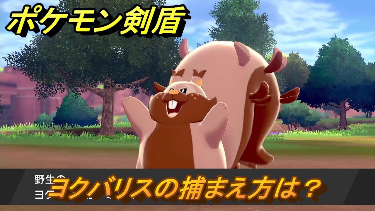 ポケモン剣盾　ヨクバリスの出現場所は？オススメの場所は？天気は？ポケモン図鑑コンプへの道！　最新版【ポケモンソード・シールド】