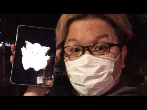 ピッピ取り取り散歩ライブ配信【ポケモンGO】
