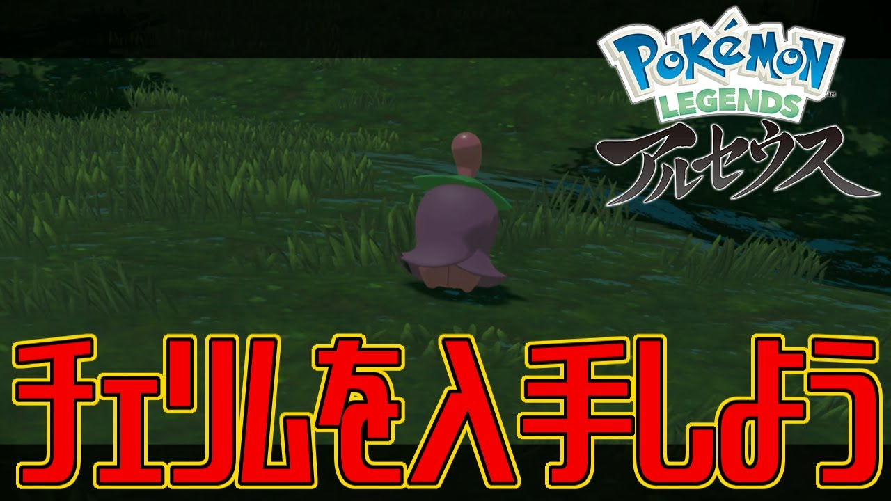 【ポケモンアルセウス】チェリムを入手しよう【Pokémon LEGENDS アルセウス】