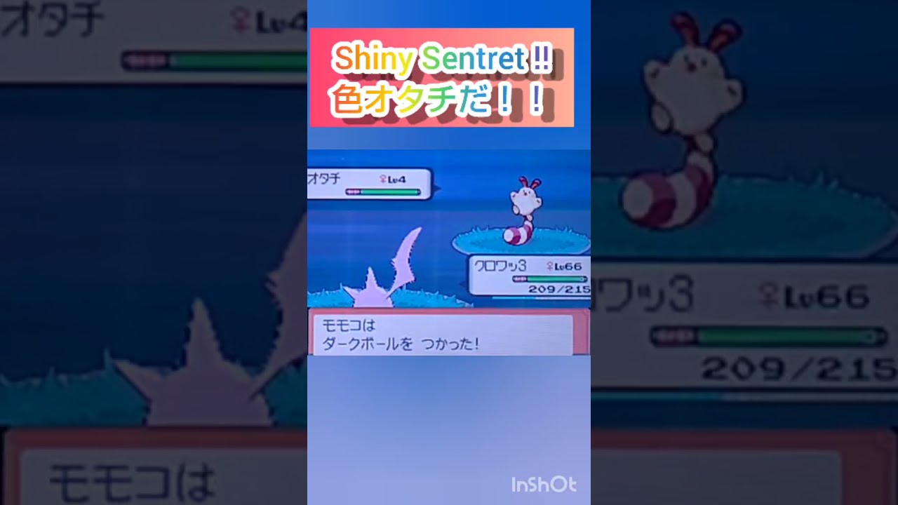 【ポケモンDP】色違い捕獲日記　54日目　オタチ　【PokémonDP】The diary Capturing shiny Pokémon's　Day54　Sentret　#shorts