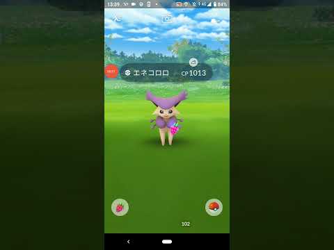 エネコロロ 　ポケモンGO