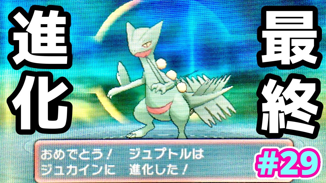 【ORAS】おくりび山へ！マリル、ジュプトル進化！【ポケモン アルファサファイア実況プレイ】#29