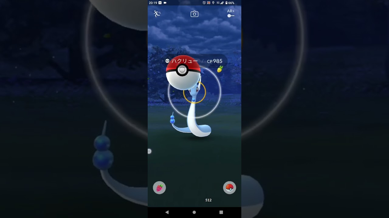 【ポケモンGO】ハクリューGET！