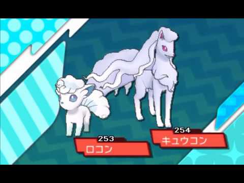 ポケモンサンムーン 色違い4Vロコンをキュウコンに進化！神々しい姿を見よ！