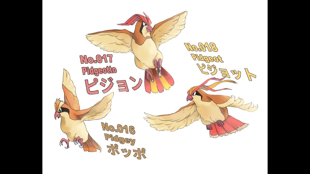 ポケモン（銀）をポッポ１匹でクリアする　＃６