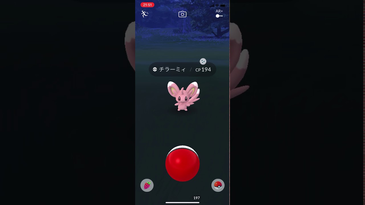 色違いのチラーミィ