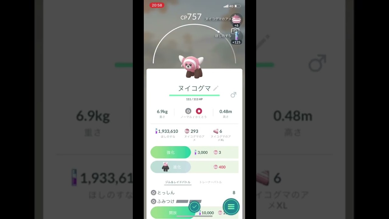 ポケモンGOでヌイコグマをゲット！