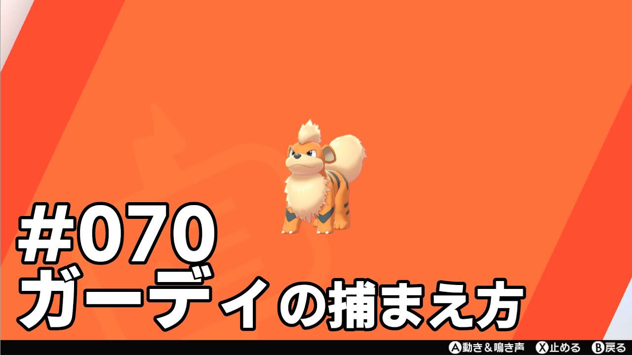 ガーディを探している方に見てほしい動画