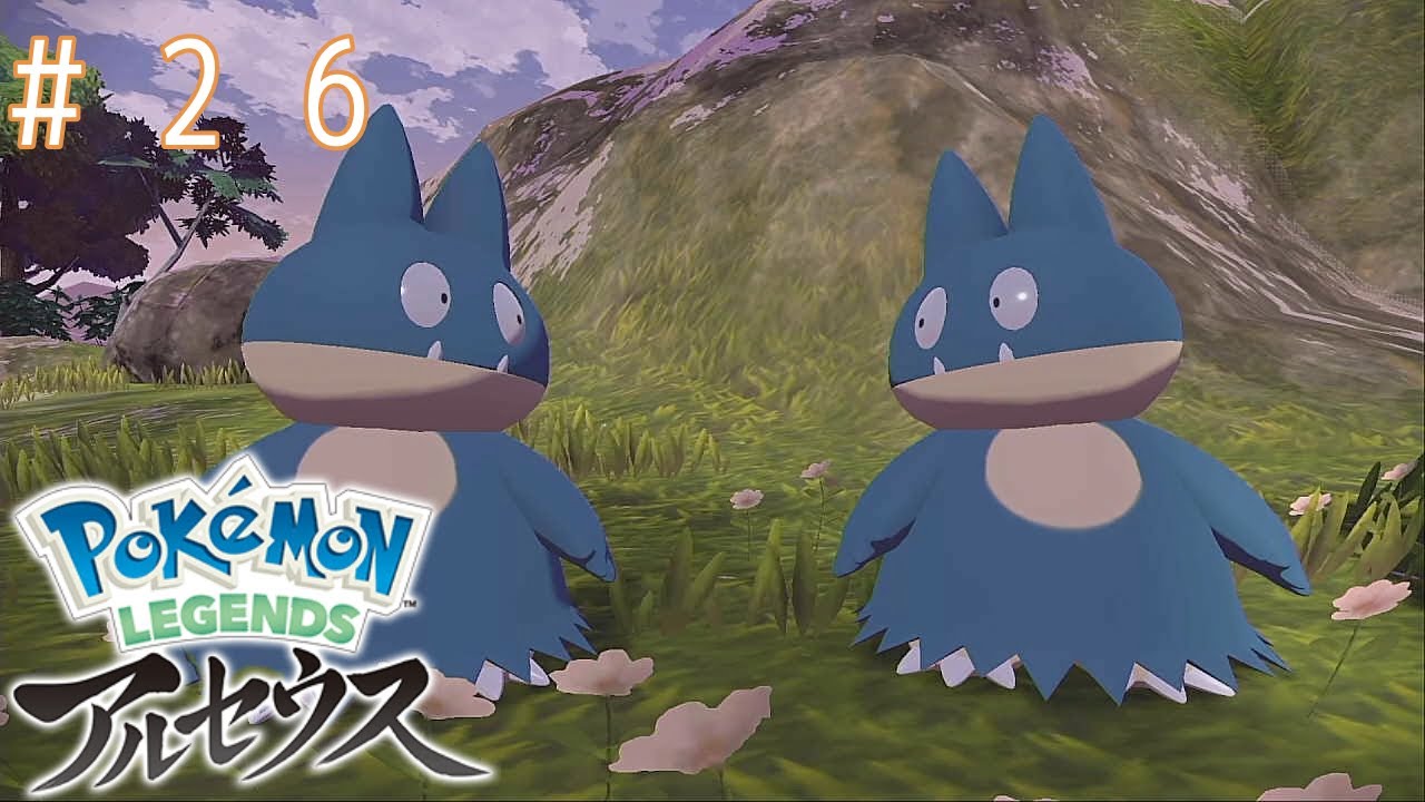 ゴンベゴンベゴンベゴンベ!!!【Pokémon LEGENDS アルセウス】♪26