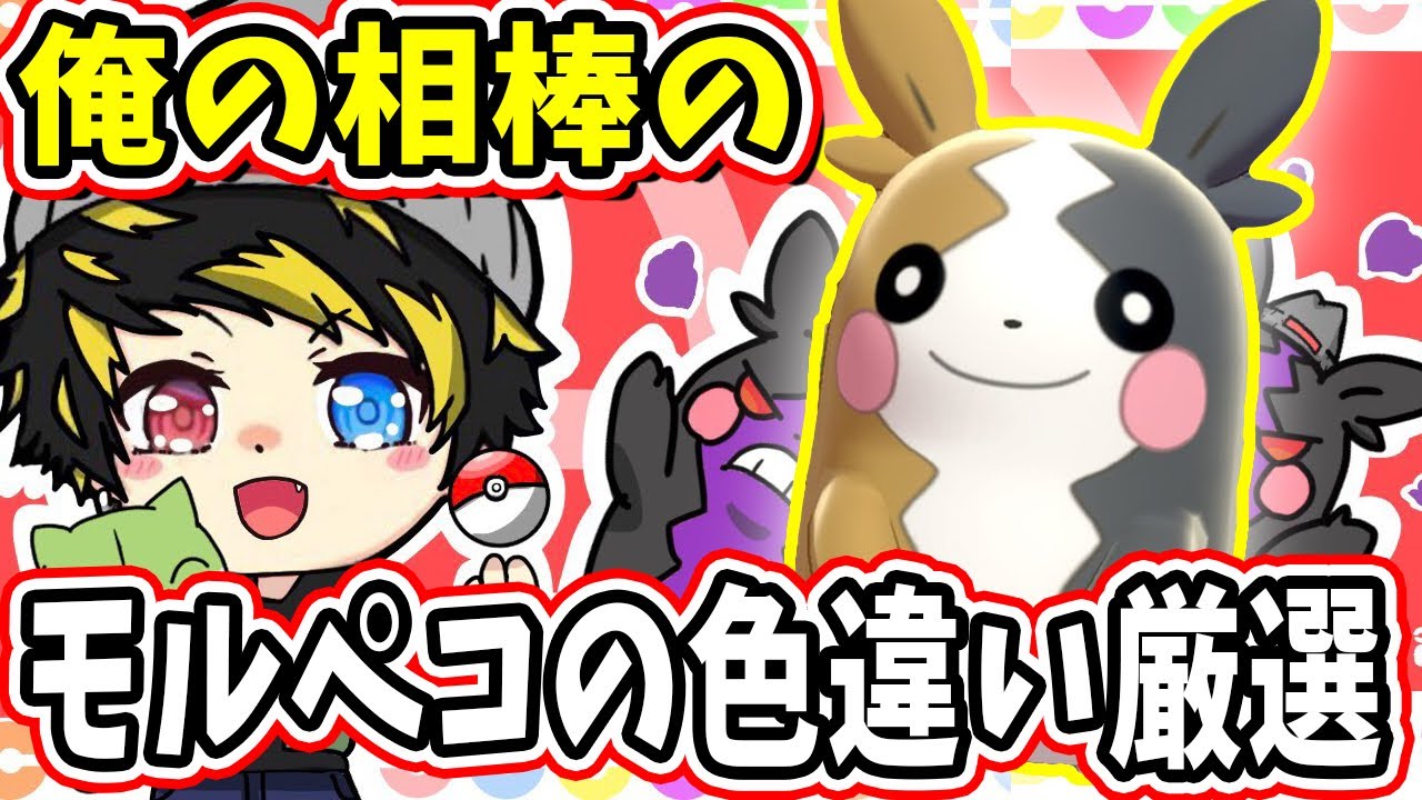 モルペコの色違いを絶対に出す！330体～【ポケモン】【ポケモン 色違い】