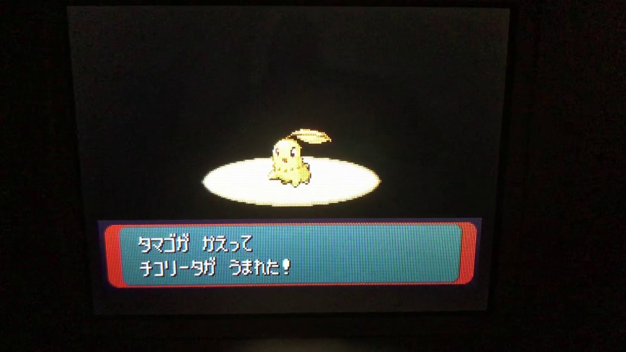 色違いチコリータ誕生（ポケモン・サファイア）