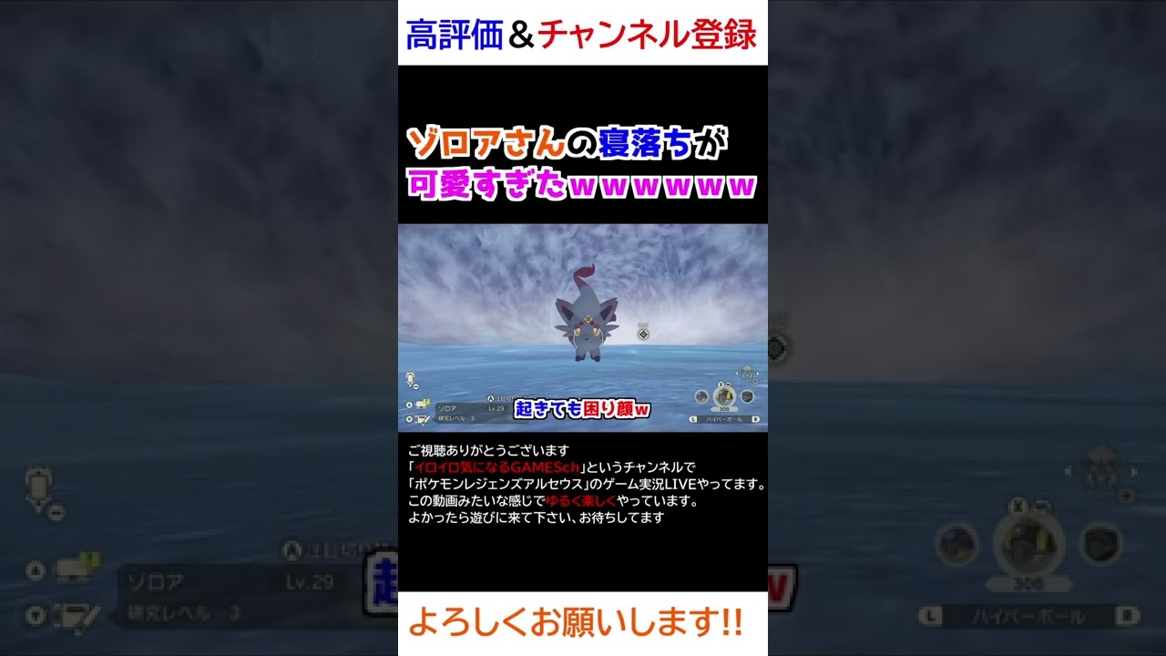 ゾロアさんの寝落ちが可愛すぎるｗｗｗ【Pokémon LEGENDS アルセウス】