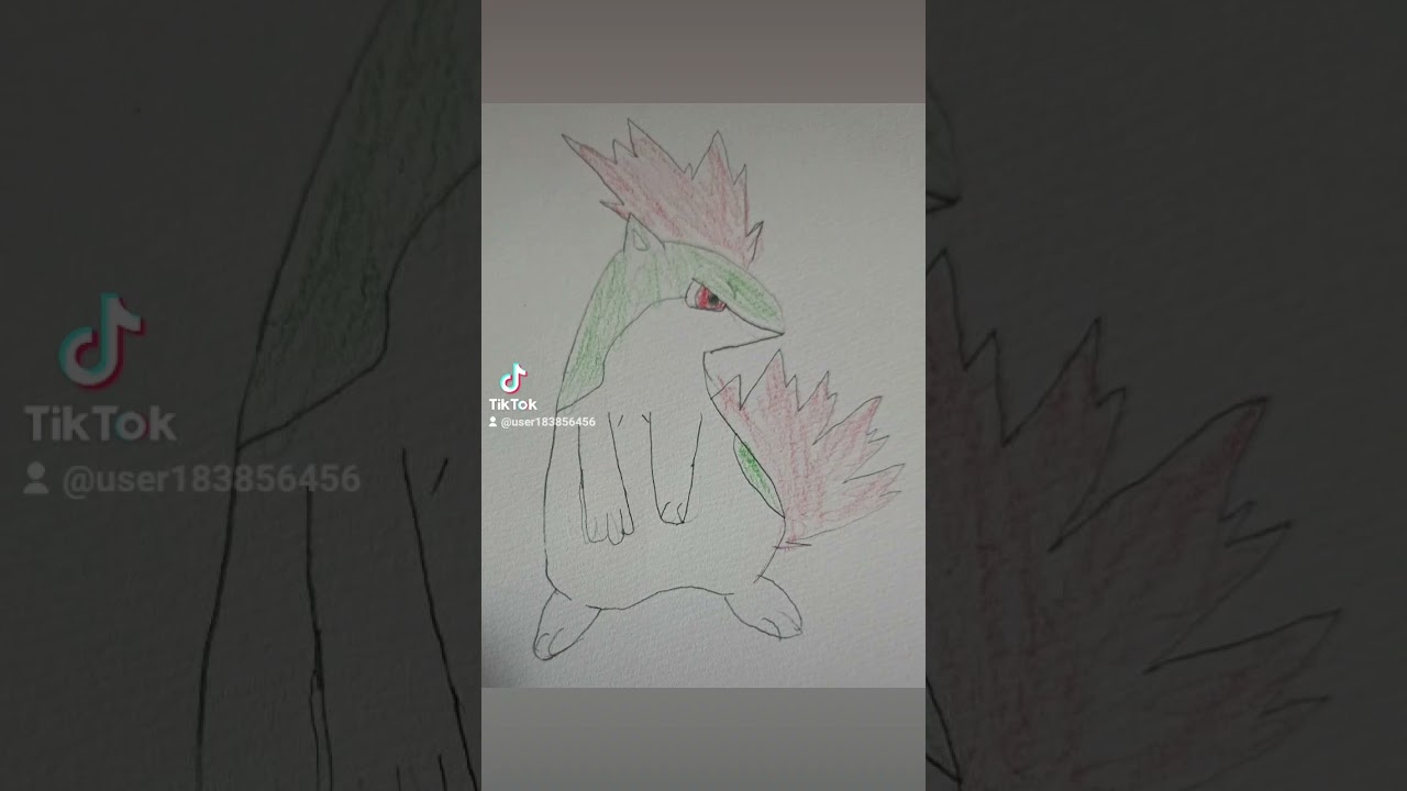 マグマラシ書いてみた！#242