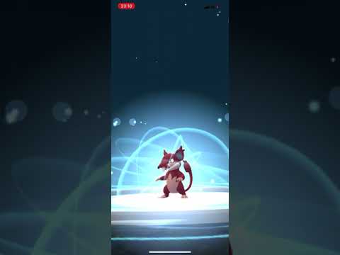 ポケモンgo 野生の色違いアローラコラッタゲットチャレンジとアローララッタへ進化