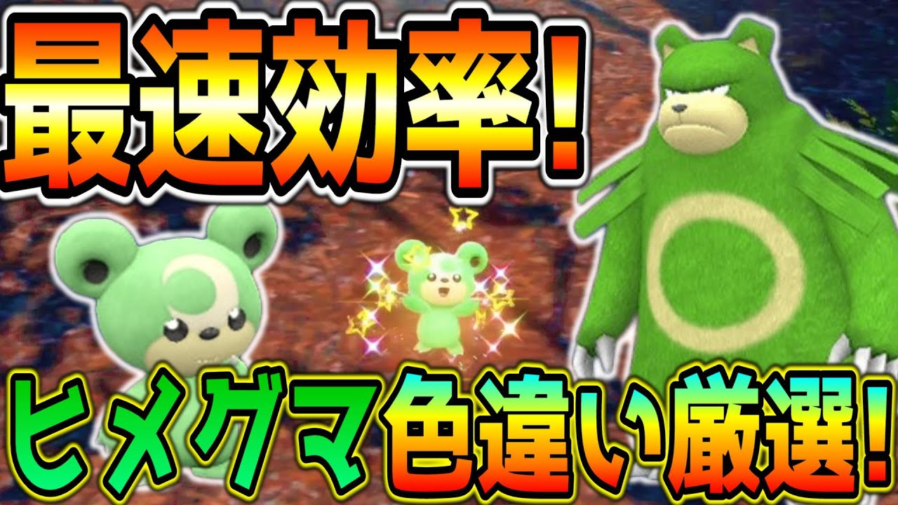簡単！ヒメグマ・リングマ色違い厳選方法！【ポケモンSV】