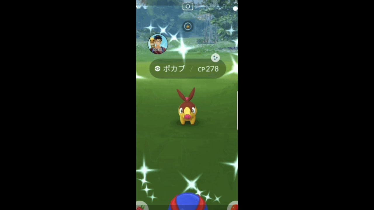 色違いポカブさんに出会えましたか？ #PokemonGO #shorts