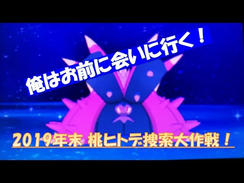 【ポケモン剣盾】次なる色違いを求めて PART2 【ヒドイデ編】