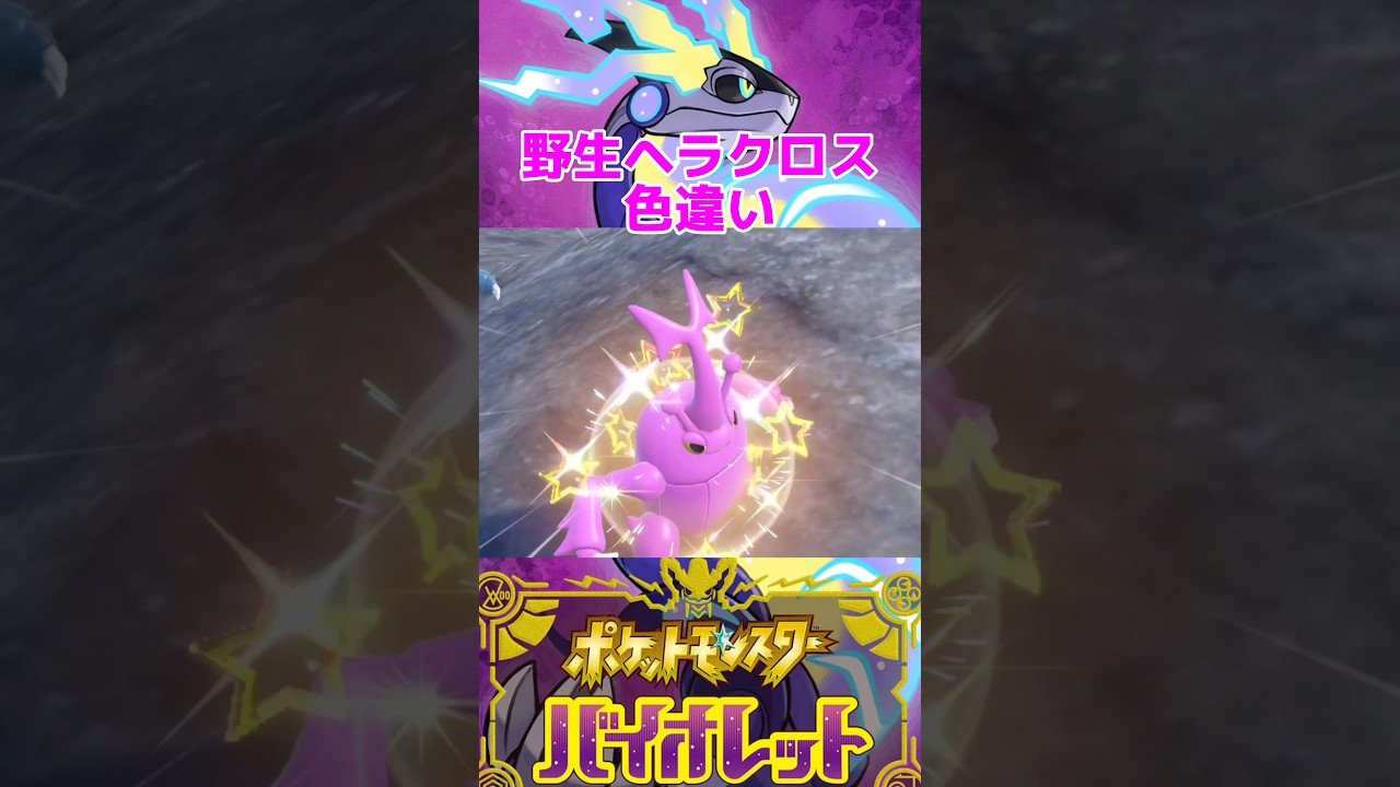 野生ヘラクロス色違い【ポケモンSV】 #shorts